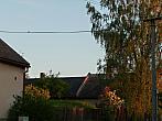 Třibřichy